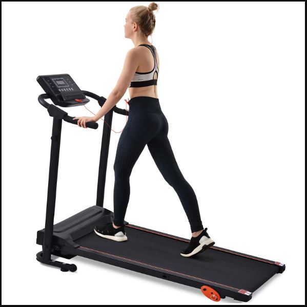 exercise machines that burn belly fat