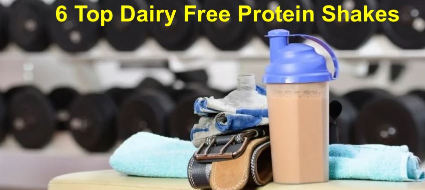 6 Top Dairy Free Protein Shakes