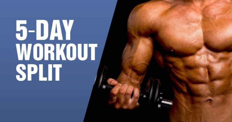 5 Day Dumbbell Workout