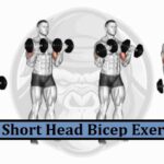 9 Best Short Head Bicep Exercises