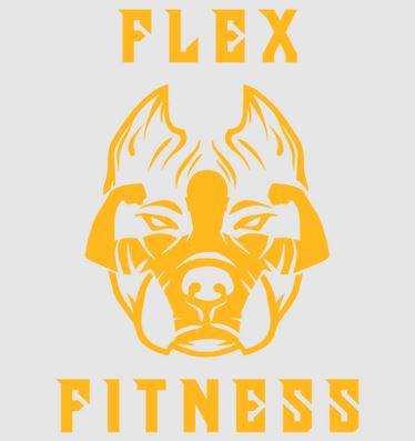 flex fitness prices